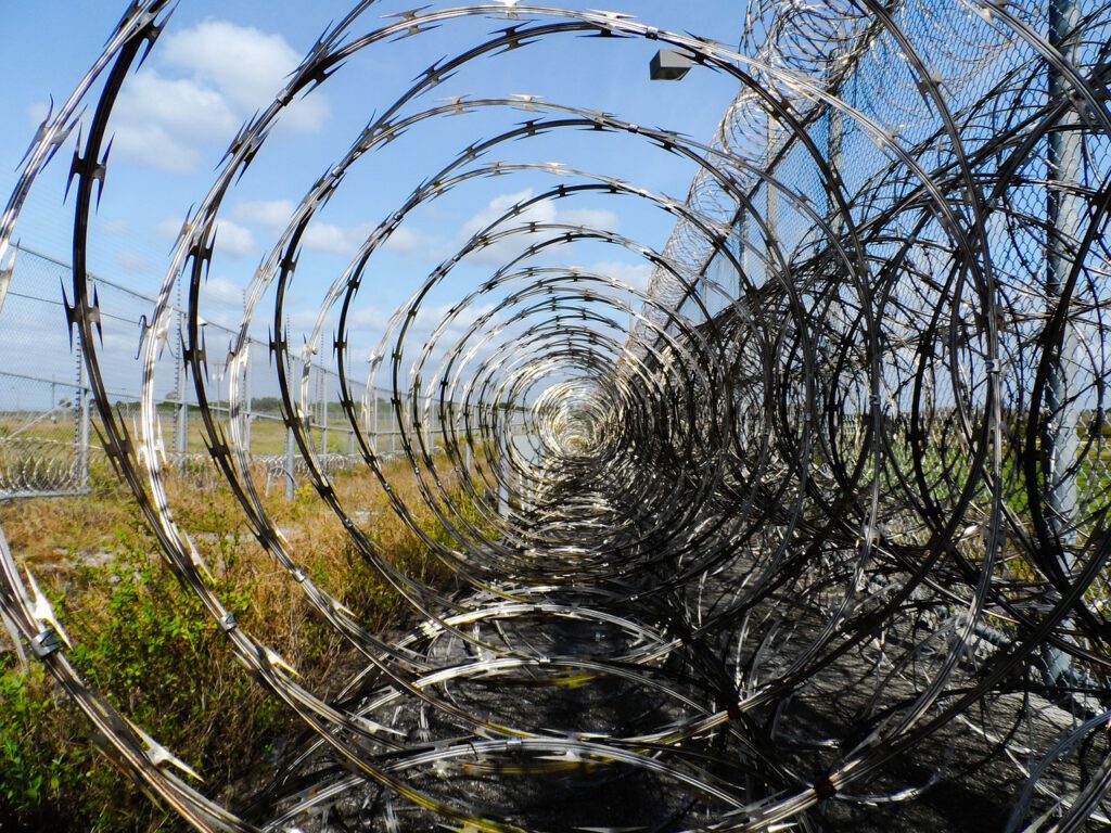 Barbed Wire