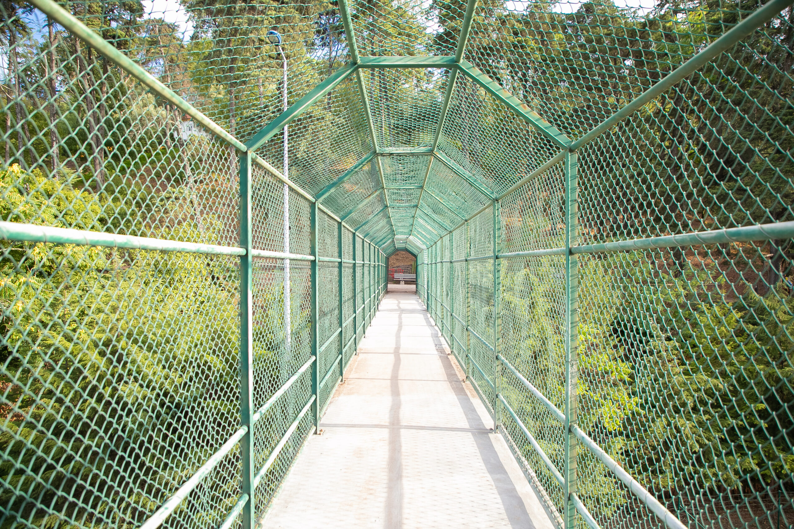 Green chain link fence enclosing a walkway, an example from a top supplier of wire mesh and fencing products in the UAE